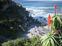 Falsebay  Koggel Baai